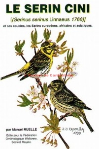 Le Serin cini Serinus serinus Linnaeus 1766 et ses cousins, les Serins africains, européens. Marcel RUELLE