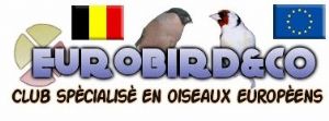 Forum Eurobird and Co