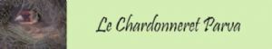 Le Chardonneret "parva"