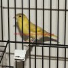 36b