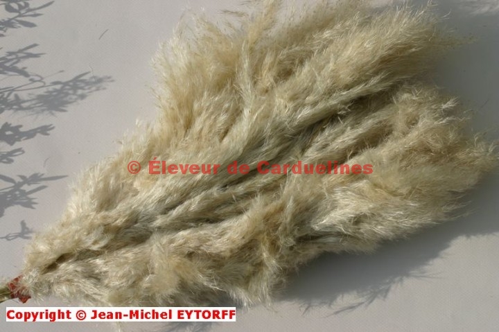 Winemana Lot De 3 Balançoires En Forme De Colibri, Cadre En Métal