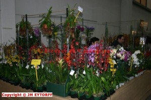 REGGIO EMILIA 2006 (La Bourse)