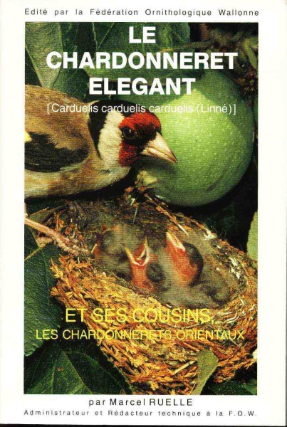 chardonneret_elegant