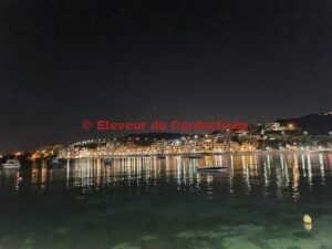 Song Bird Association Malta Show nov 2022 : Le jugement (part 1)