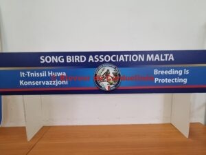 Song Bird Association Malta Show nov 2022 : l’Exposition (Part 2)